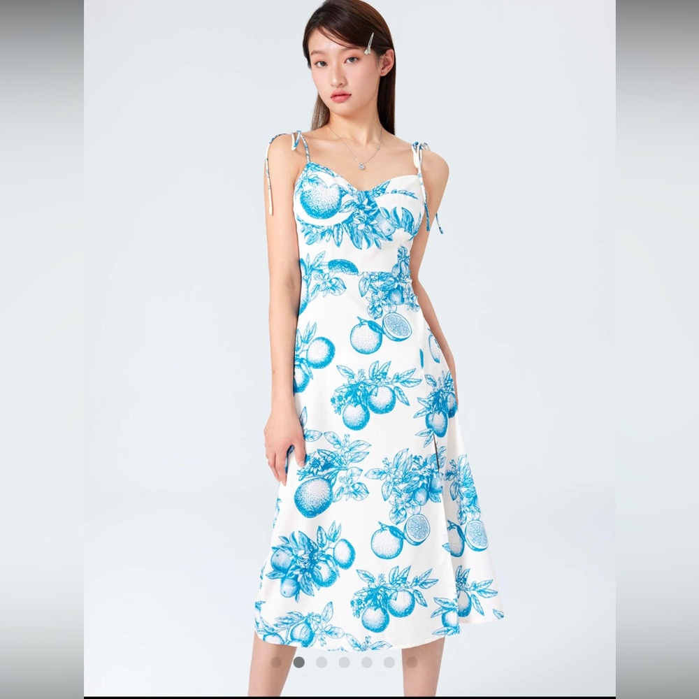 Cider‎ Floral Citrus Maxi Dress in Blue - M